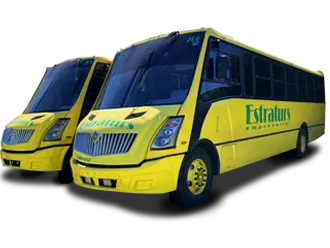 International Zafiro